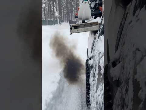 All new project beginning from this Crazy Tahoe Storm last season! #tahoe #laketahoe  #winter