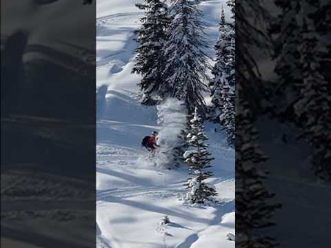 Snowmobile tree demolition! 😬