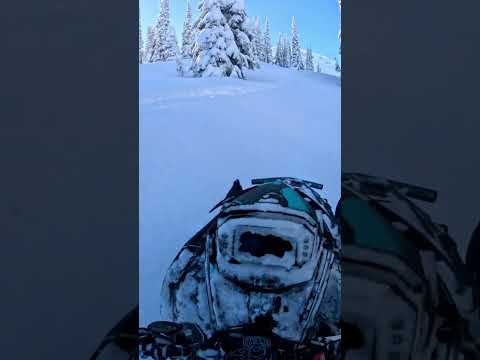 Riding old tracks🫥#snowmobile #sledding #polarissnow #509