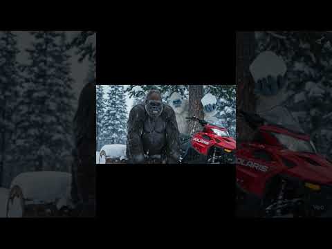 The mountain went soft without him… but he’s back ❄️🦍