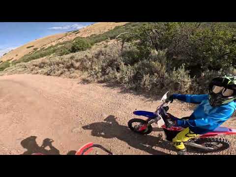 He could've crashed too