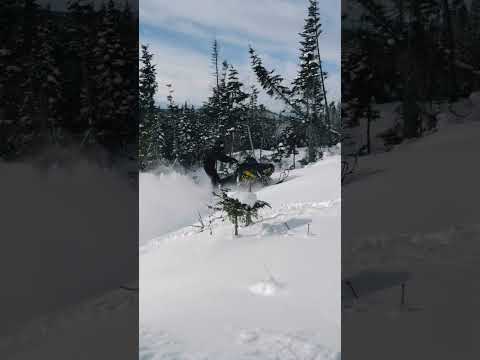 800 is still going strong ❄️