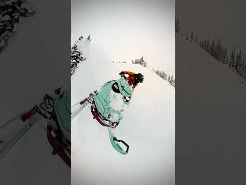 Sled videos all summer long