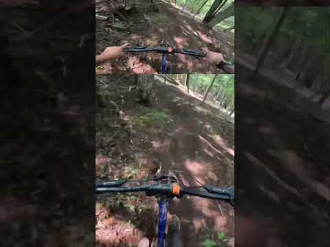 NEW LOWER BUGS TRACK AT WENTWORTH BIKE PARK! #mtb #bikes #mountainbiking #downhillmtb #downhill