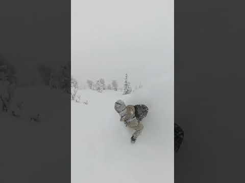 Splitsurfing is the answer #powsurf