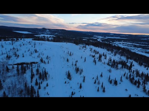 Le terrain de jeu 