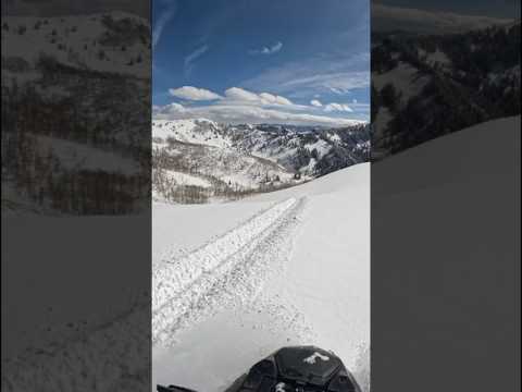Snowmobile Exploring New Zone #shorts