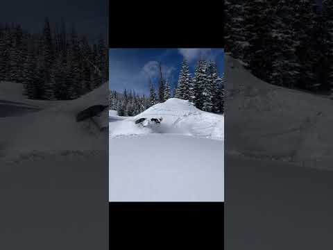 Winter 2020 take me back to snow like this! #automobile #snow #powderyice
