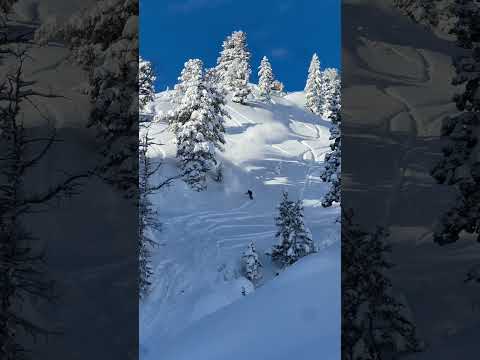 Deep Powsurf Days With Jeremy, Chris and Kanika #powsurf