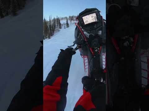 Wheelies before dark 💨 | #wheelie #snowmobiling