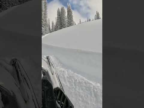 Patiently waiting for snow