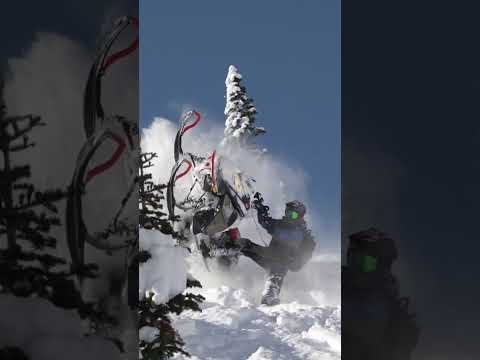 Snowmobiles: because therapy is expensive 🏔️ #sledders #skidoo #snowmobile #winter #mountains