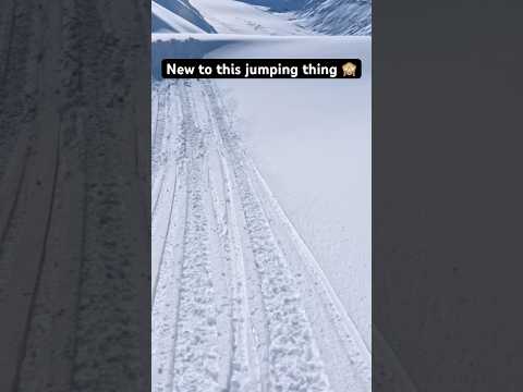 Chasing April Alpine