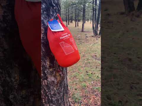 Kammok firebelly review #offroadoverland #audhd #ad