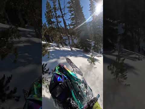 When speed matches adrenaline #backcountry #snowmobile #mountains #snow #adrenalinerush